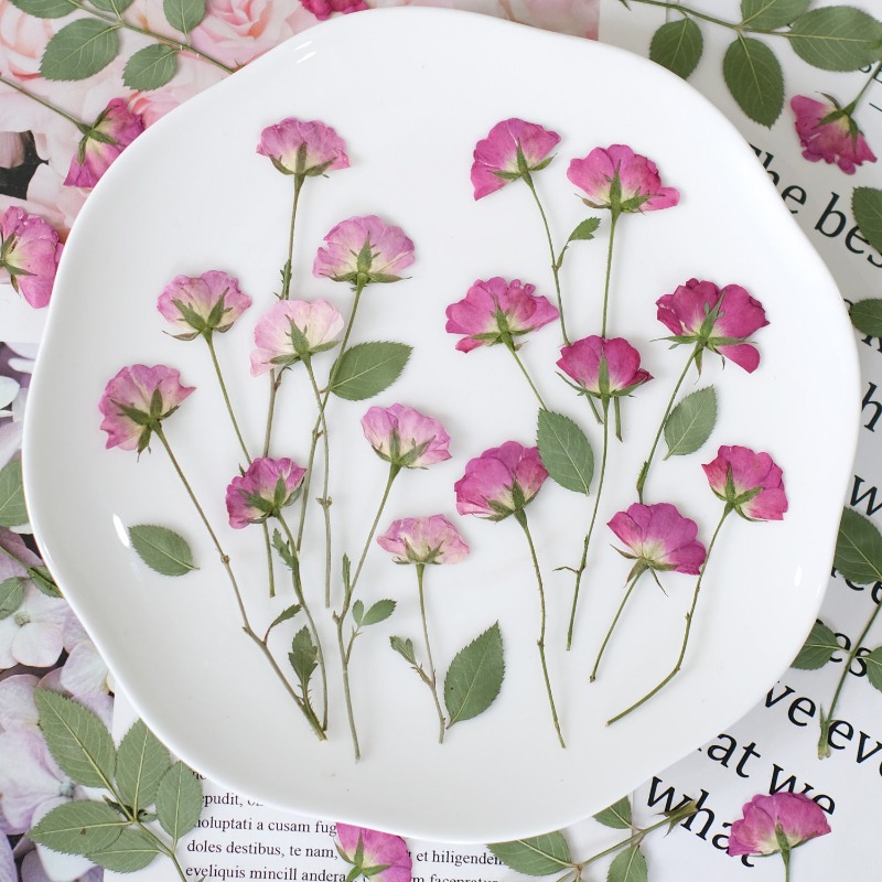 Resin Art Rose Petals - 12個入り、本物のミニローズ押し花ピンクの乾燥バラの花びらDIYアートクラフトカード作成スクラップブックウェディングレジンジュエリーデコレーション