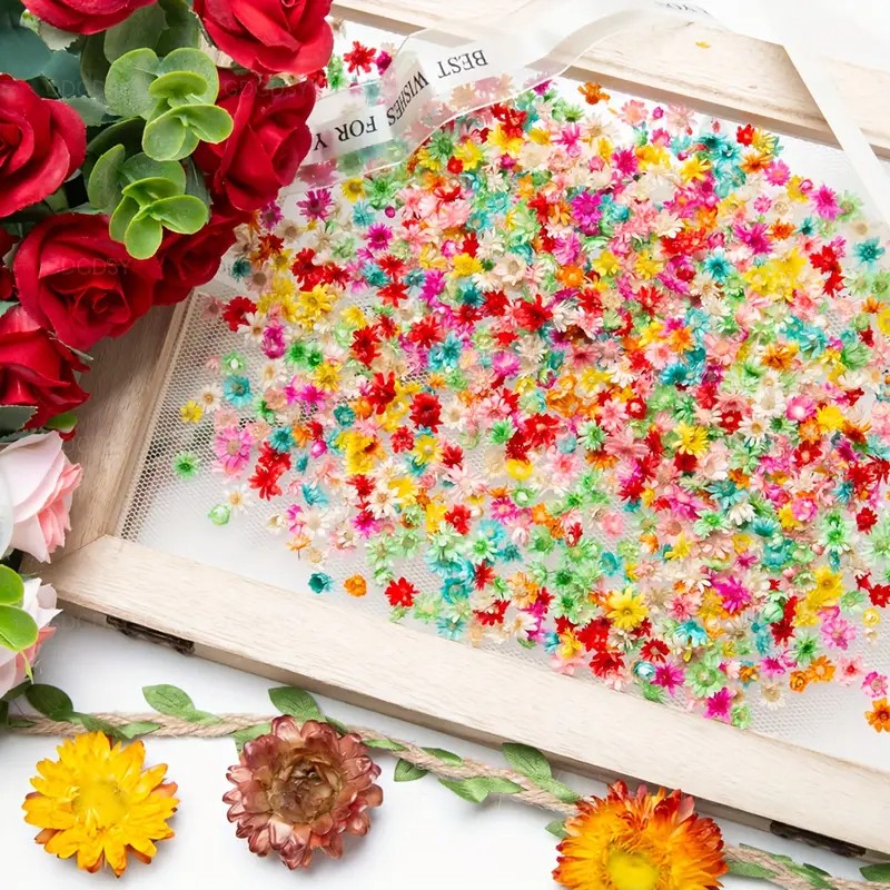 Resin Art Earrings Design - クラフト用クラシック造花ミックス - レジンアート、ネイルデザイン、イヤリング作り、石鹸作り用の本物の押し花