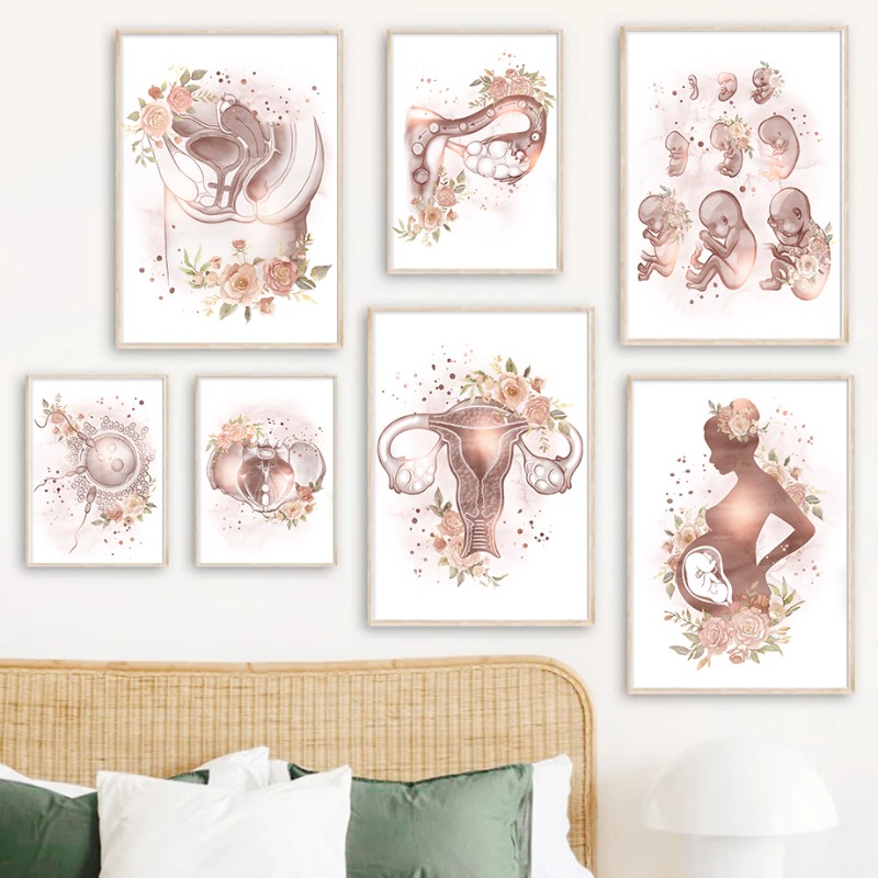 Resin Art Pregnancy - 婦人科 女性の解剖学 不妊治療 妊娠 ポスター プリント