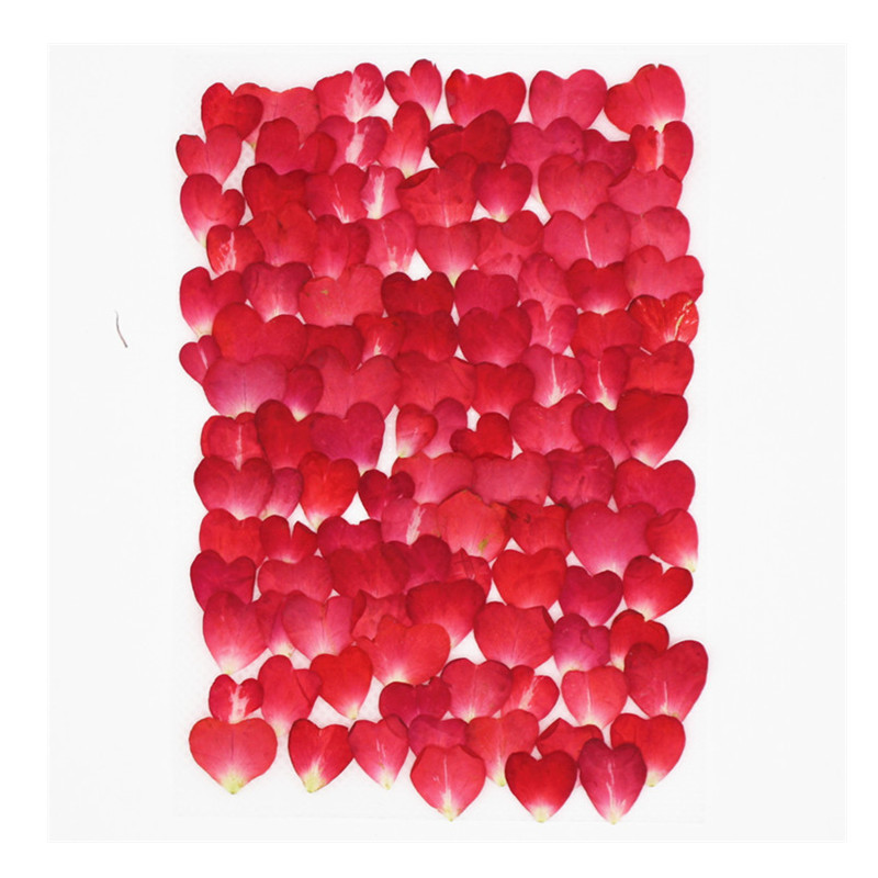 120個入りバラの花びらミックスパック、ドライフラワー、押し - Resin Art Rose Petals のレビューと価格