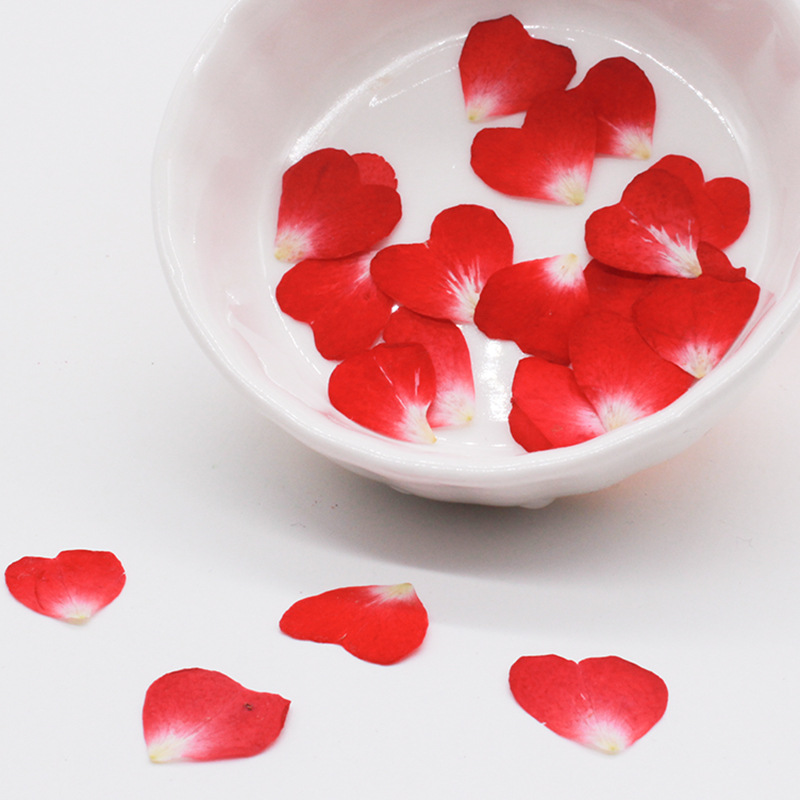 120個入りバラの花びらミックスパック、ドライフラワー、押し - Resin Art Rose Petals のレビューと価格